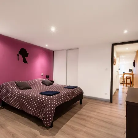 Appartamento Appartement spa privatif et cinéma centre ville Metz